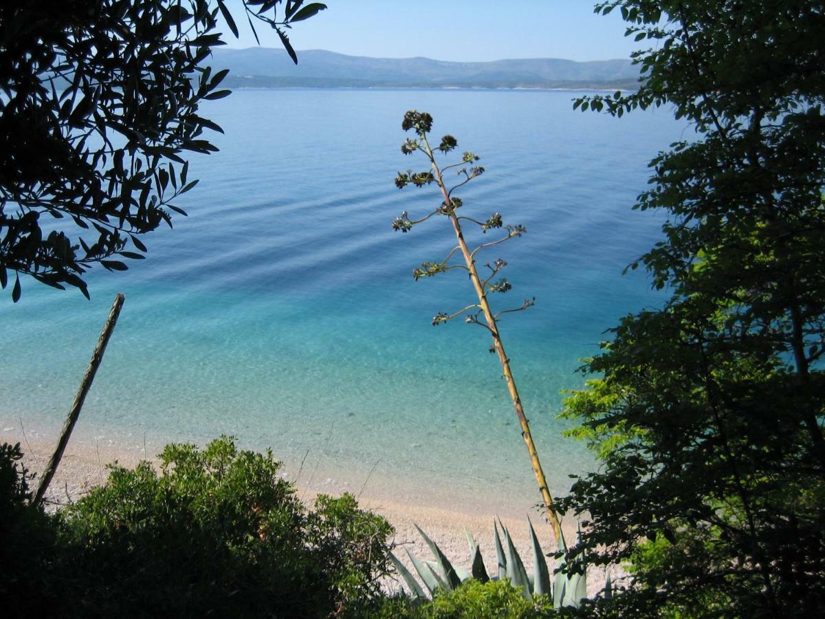 Villa Lipa Dora Murvica  Bagian luar foto