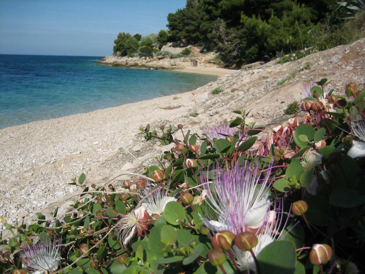 Villa Lipa Dora Murvica  Bagian luar foto